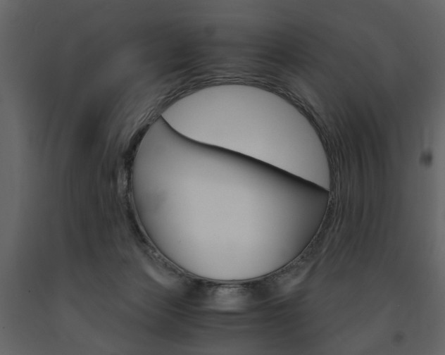 X0000091660173200708230959