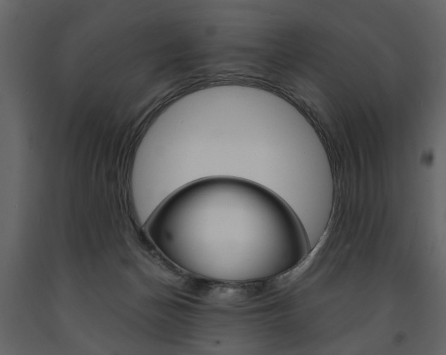 X0000091660174200708230959