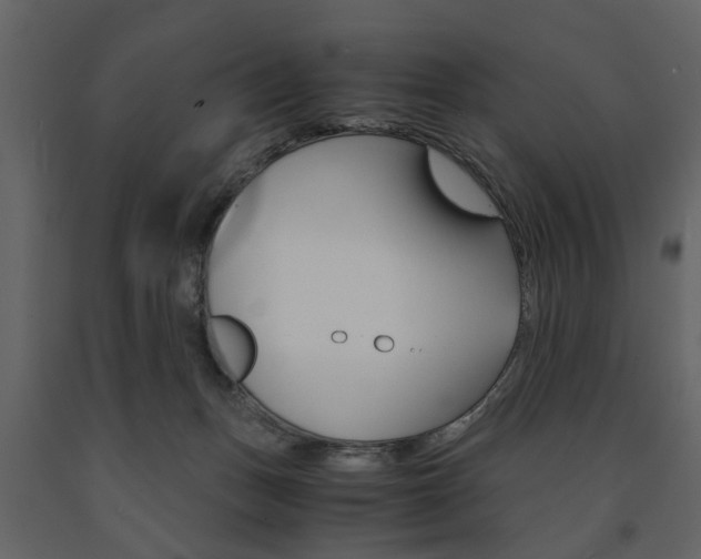 X0000091660175200708230959