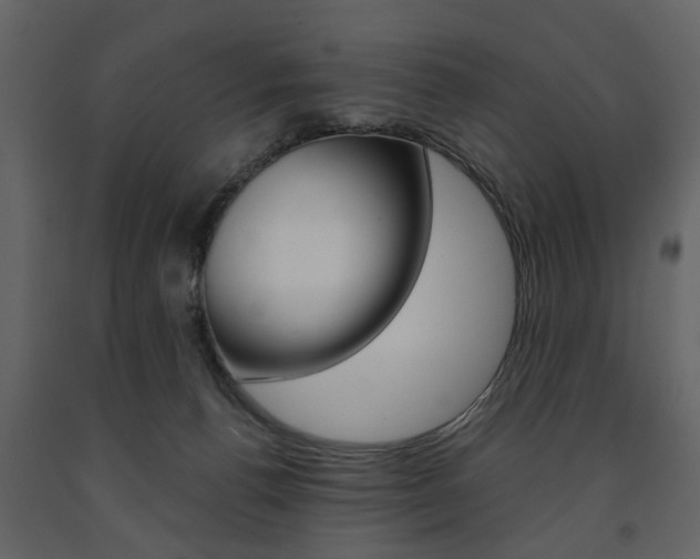 X0000091660176200708230959