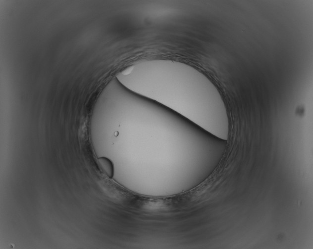 X0000091660177200708230959