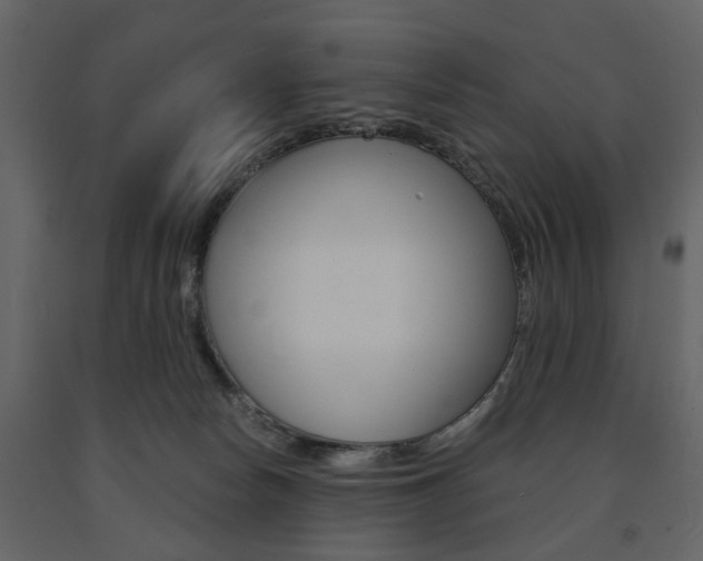 X0000091660178200708230959
