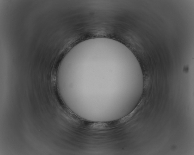X0000091660179200708230959