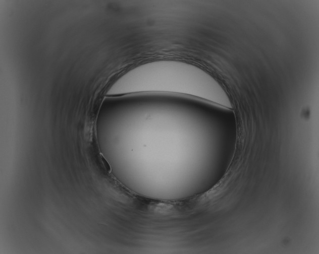 X0000091660180200708230959