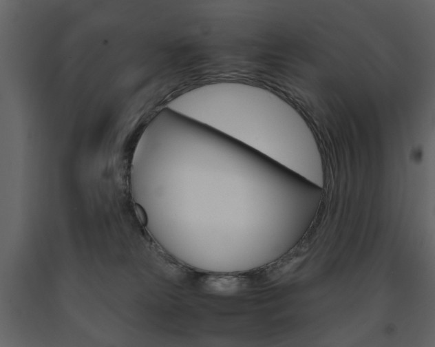 X0000091660181200708230959