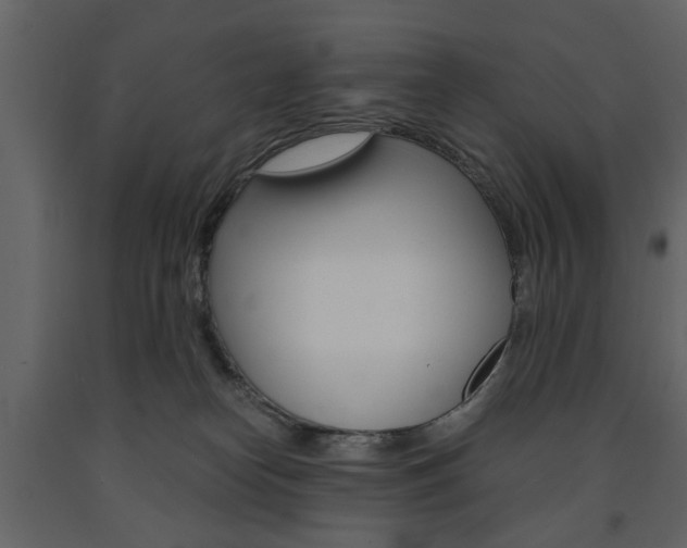 X0000091660182200708230959