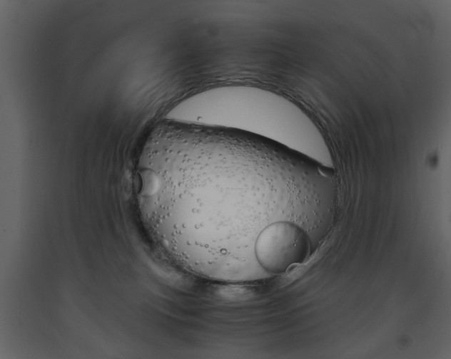 X0000091660183200708230959
