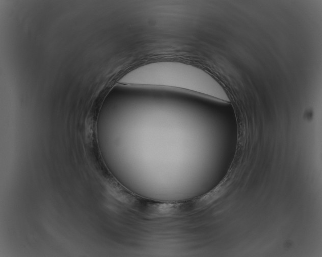X0000091660184200708230959