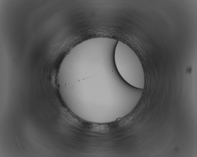 X0000091660185200708230959