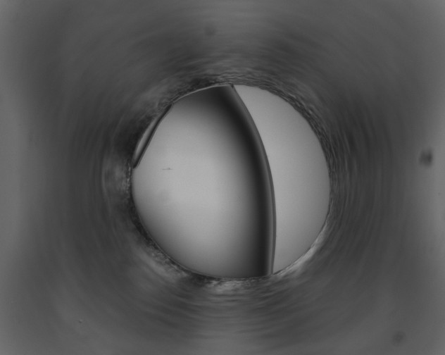 X0000091660186200708230959
