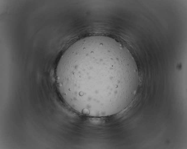 X0000091660187200708230959