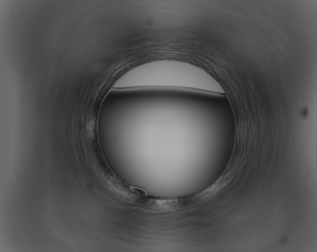 X0000091660188200708230959