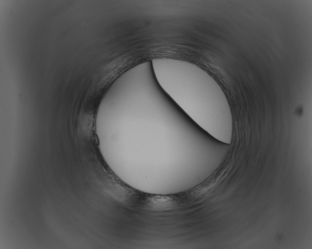 X0000091660189200708230959