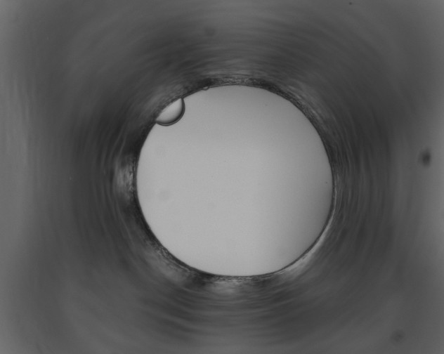X0000091660190200708230959