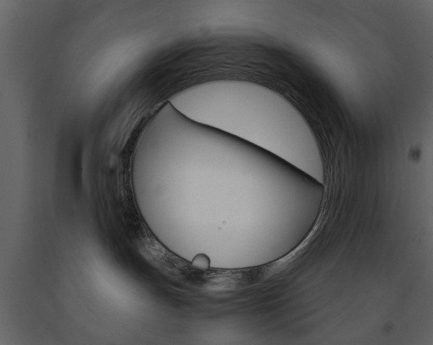 X0000091660191200708230959