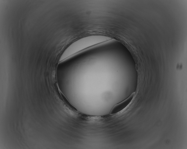 X0000091660192200708230959