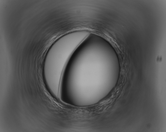 X0000091660193200708230959