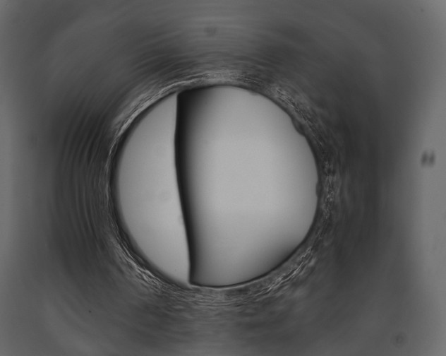 X0000091660194200708230959