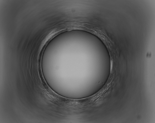 X0000091660195200708230959