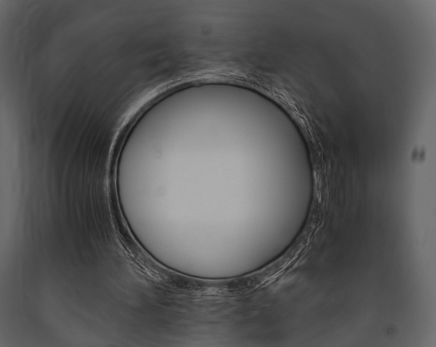 X0000091660196200708230959