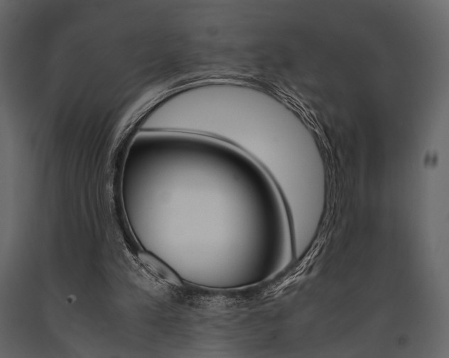 X0000091660197200708230959