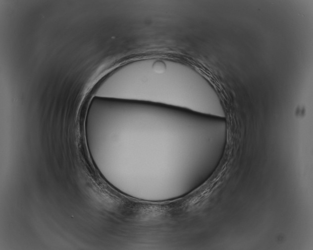 X0000091660198200708230958