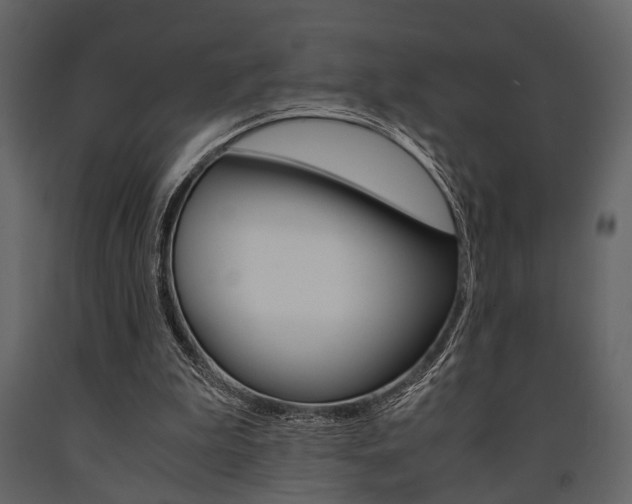 X0000091660199200708230958