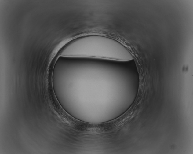 X0000091660200200708230958