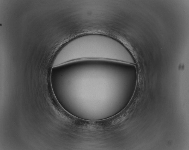 X0000091660201200708230958