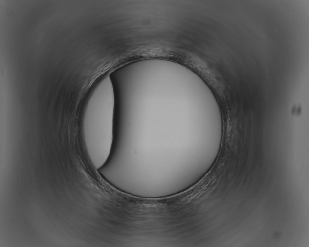 X0000091660202200708230958
