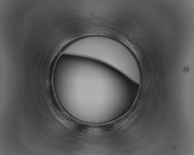 X0000091660203200708230958
