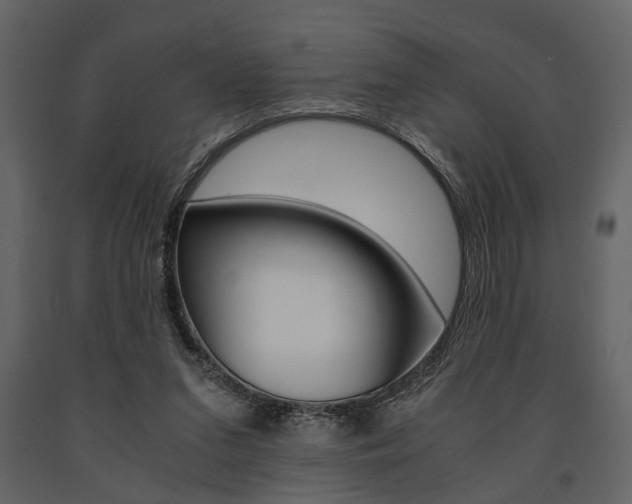 X0000091660207200708230958