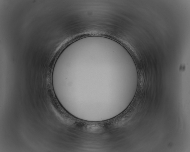 X0000091660208200708230958