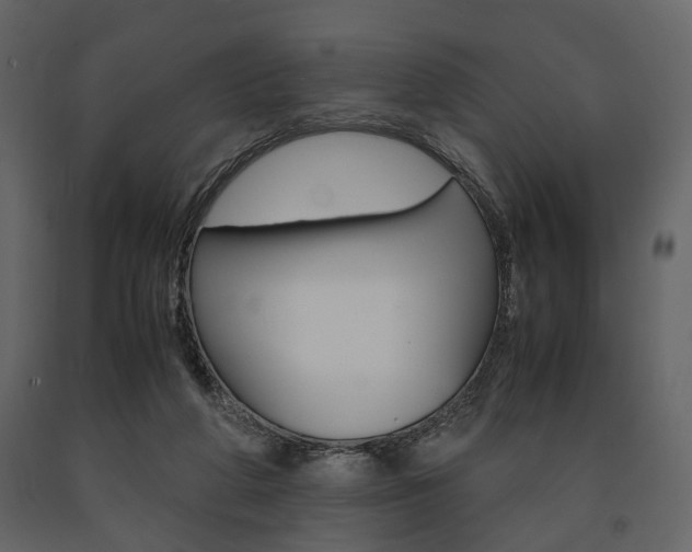 X0000091660210200708230958