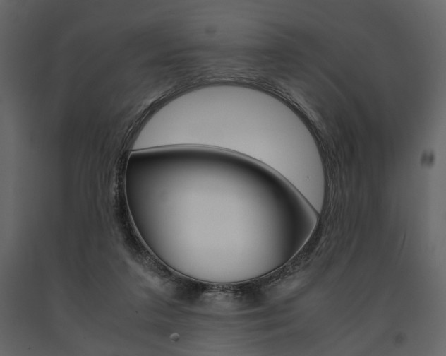 X0000091660211200708230958