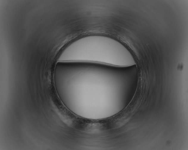 X0000091660212200708230958