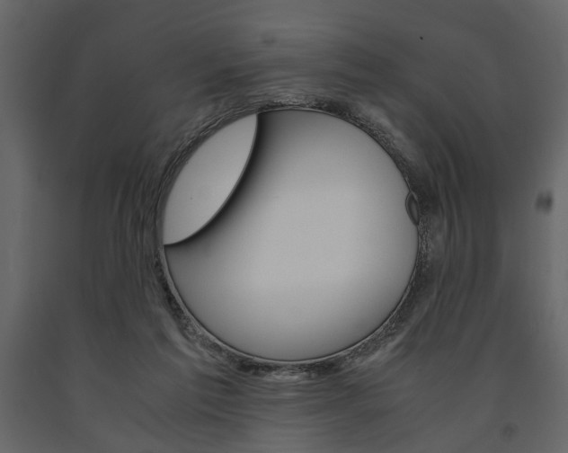 X0000091660213200708230958