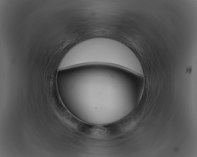 X0000091660215200708230958
