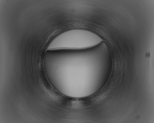 X0000091660216200708230958