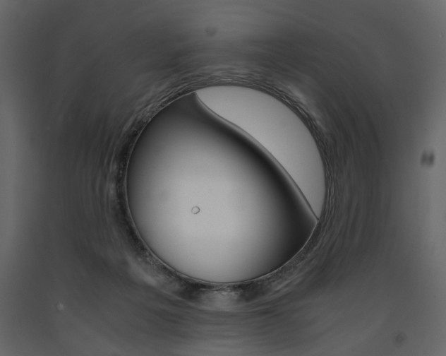 X0000091660217200708230958