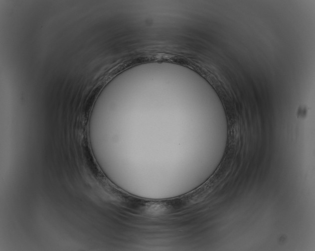 X0000091660218200708230958
