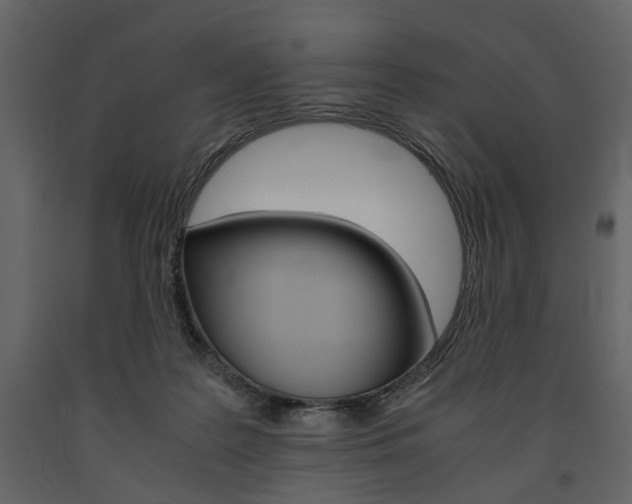 X0000091660219200708230958