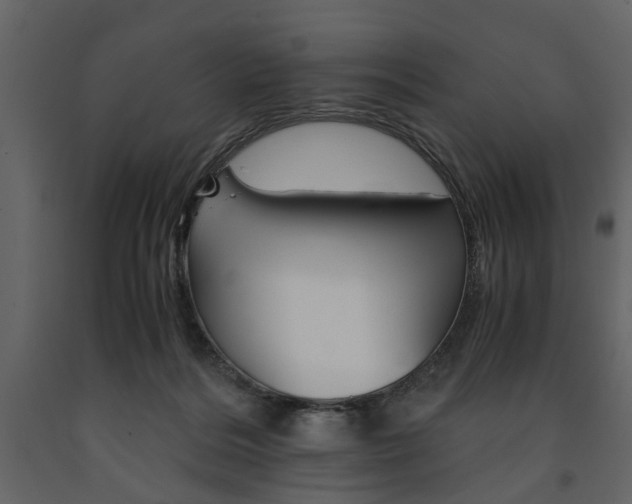 X0000091660220200708230958