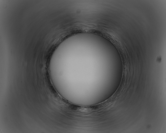 X0000091660221200708230958