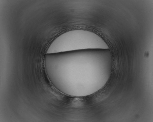 X0000091660222200708230958