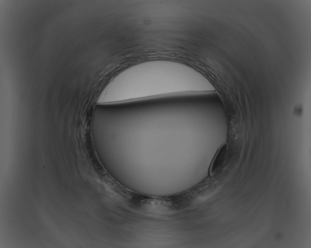 X0000091660223200708230958