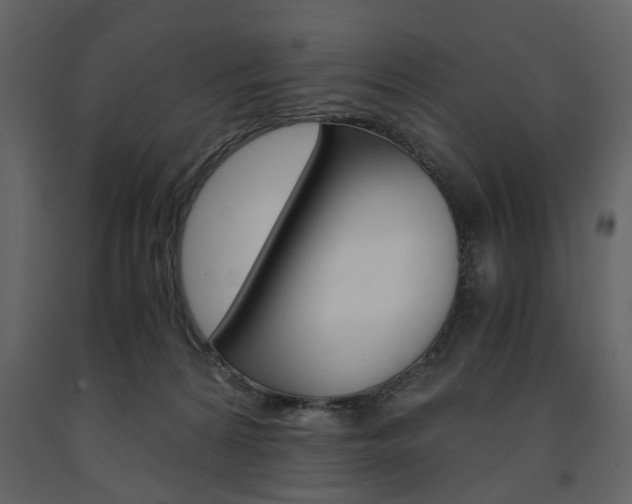 X0000091660224200708230958