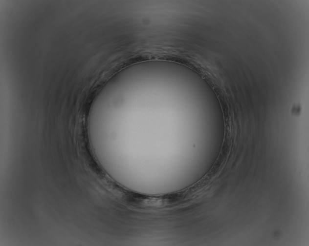 X0000091660225200708230958