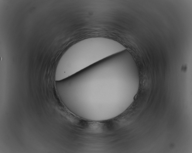 X0000091660226200708230958