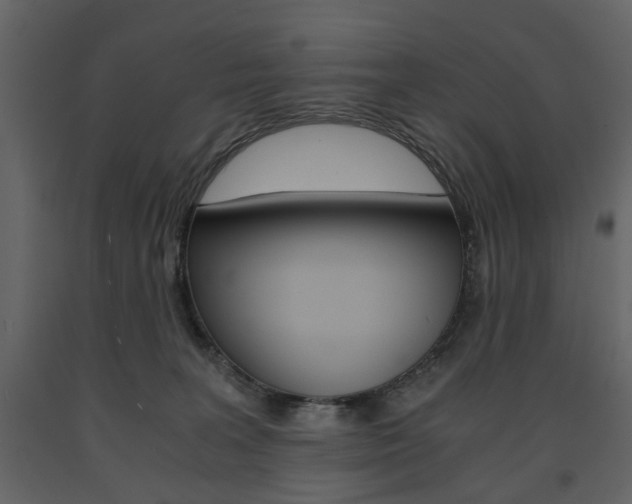 X0000091660227200708230958